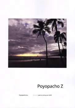 Poyopacho Z (Evangelion Yeniden Yapım) sayfa 2